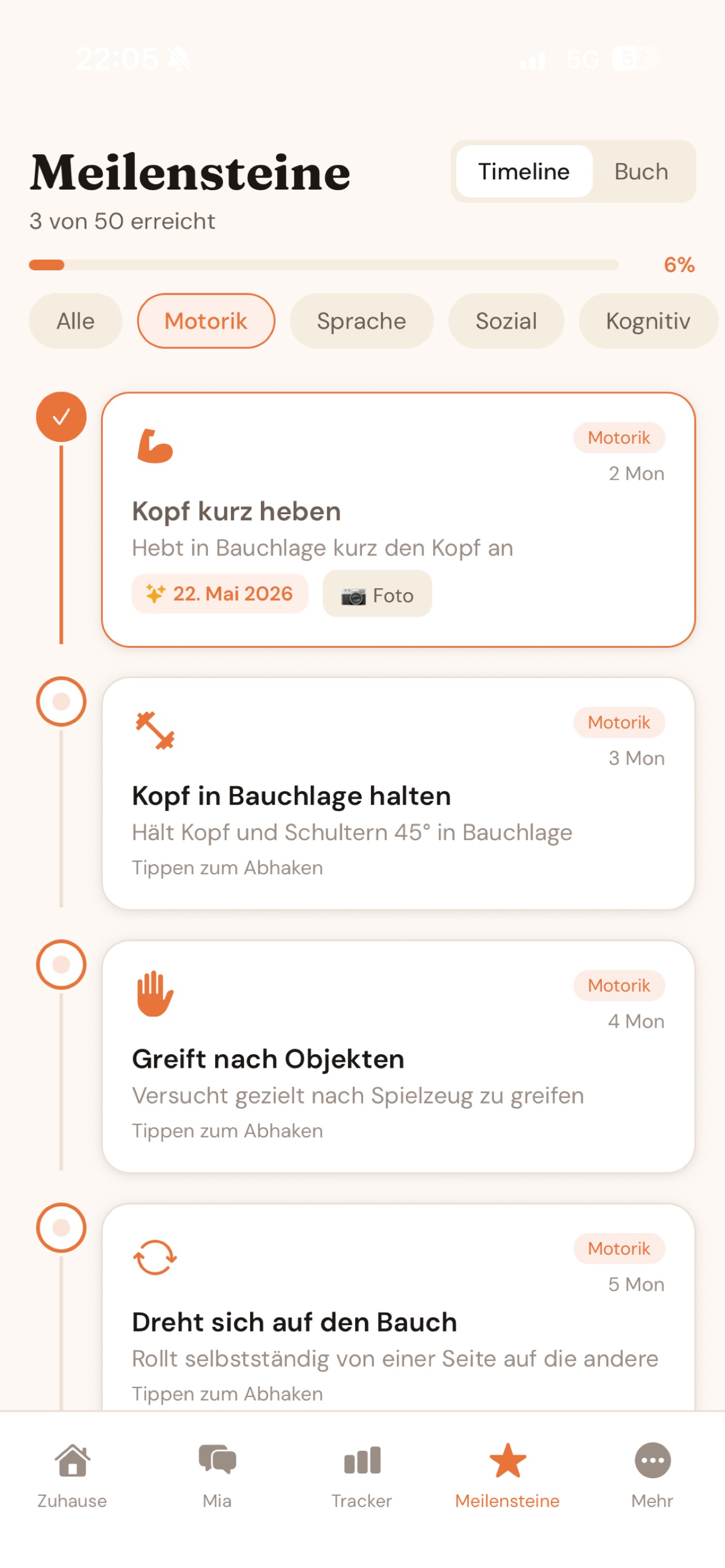 TinyMinds Meilensteine